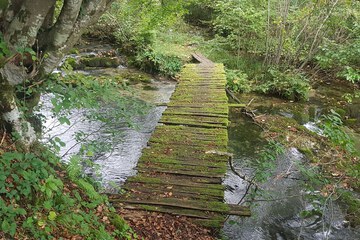 Hiking