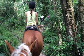 Horseback riding