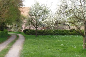 Photo 51