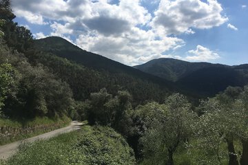Hiking