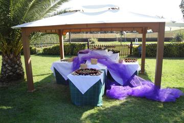 Photo 24