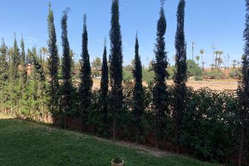 Photo 32
