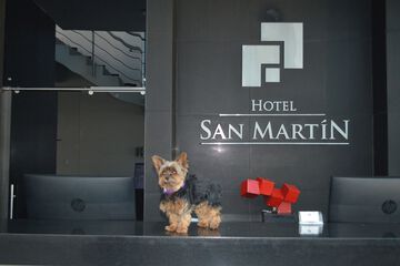 Pet-friendly