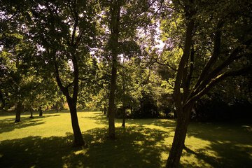 Park view