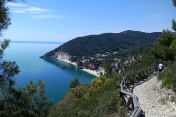 Hiking
