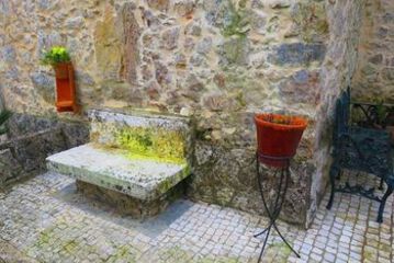 Terrace or Patio