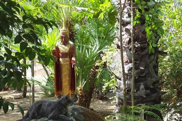 Photo 47
