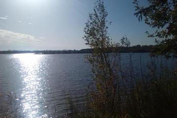 Photo 38