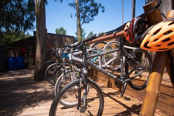 Bicycling