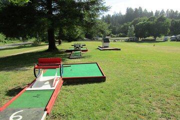 Mini-golf