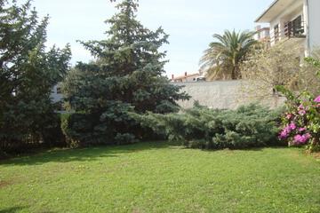 Photo 67