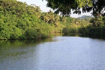 Lake view