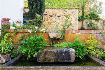 Fountain