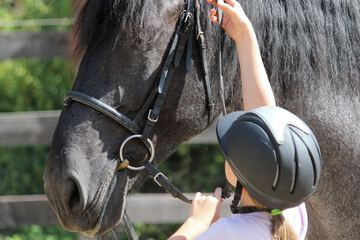Horseback riding