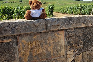 Vineyard