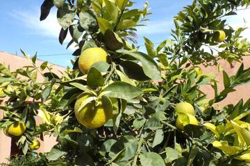 Photo 27