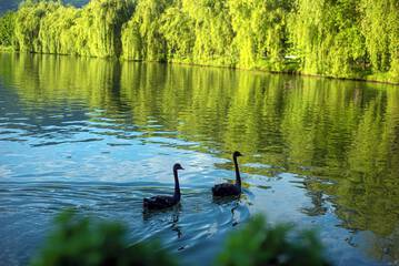 Lake