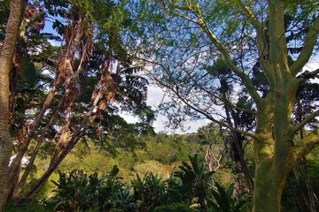 Land view from property