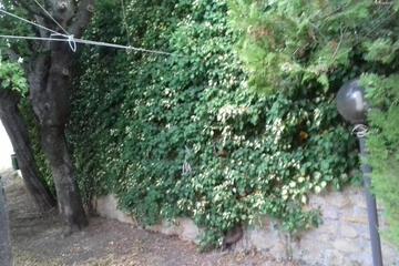 Photo 32