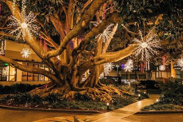 Land view from property