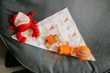 Pet-friendly amenities