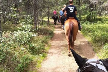 Horseback riding