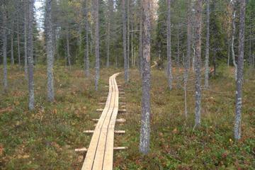 Photo 61