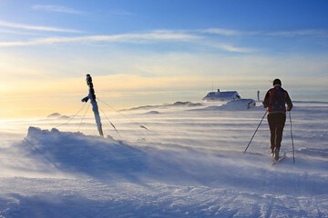 Skiing