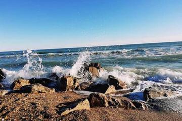Photo 44