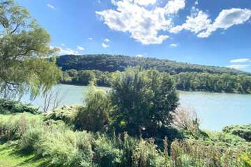 Land view from property