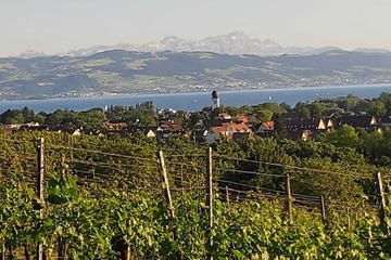Winery
