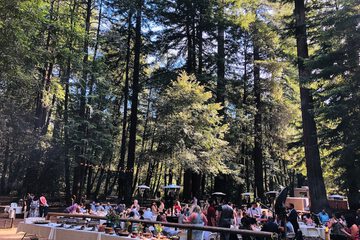 Outdoor wedding area