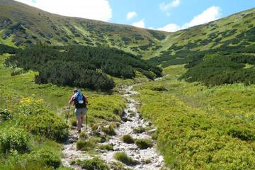 Photo 25