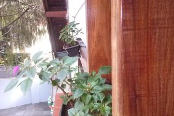Photo 47