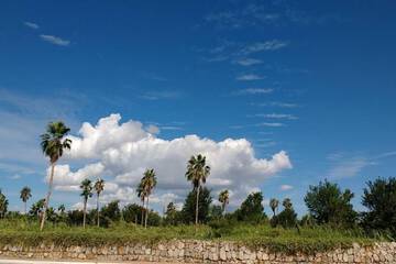 Land view from property