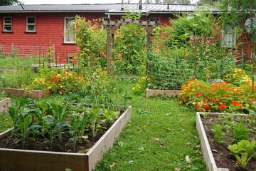 Garden