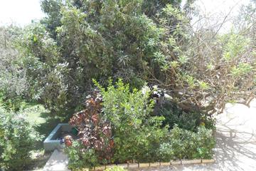 Photo 67