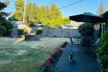 Photo 36