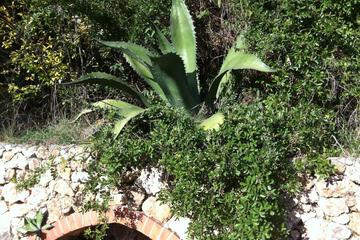 Photo 44