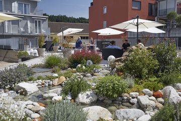 Sundeck