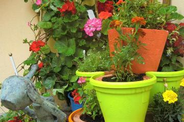 Photo 32