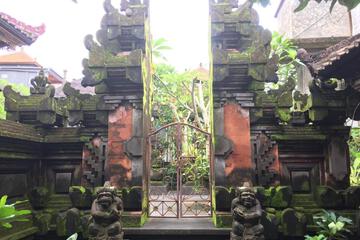 Photo 41