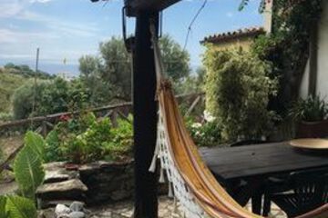 Terrace or Patio