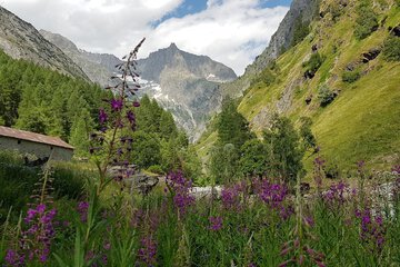 Hiking