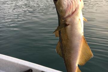 Fishing