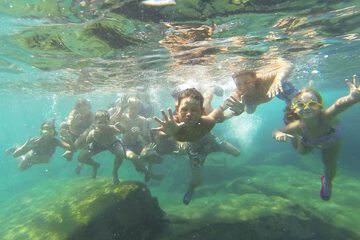 Natural pool
