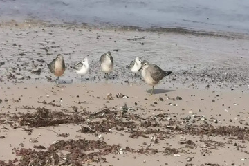 beach