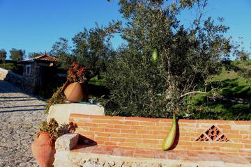 Photo 48