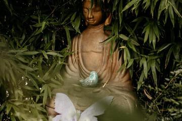 Photo 51