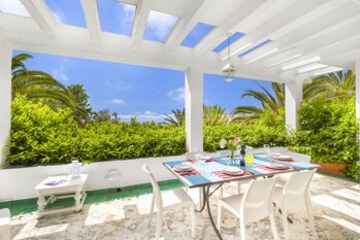 Terrace or Patio